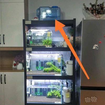 diy魚缸自動補水器安裝：diy魚缸智能補水器的組成和安裝方法