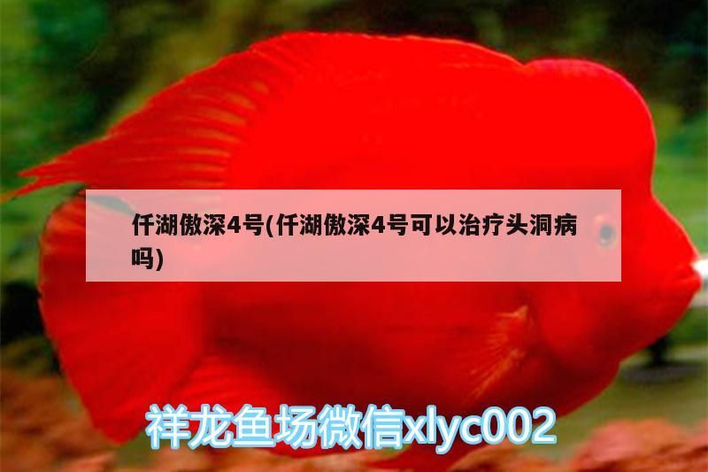 仟湖傲深4號(仟湖傲深4號可以治療頭洞病嗎)