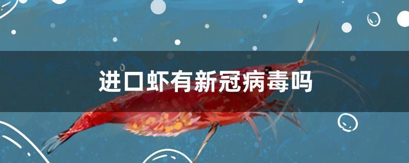 龍魚干蝦有營養嗎 進口蝦有新冠病毒嗎 錦鯉魚百科 進口蝦有新冠病毒嗎 進口蝦有新冠病毒嗎 錦鯉魚百科