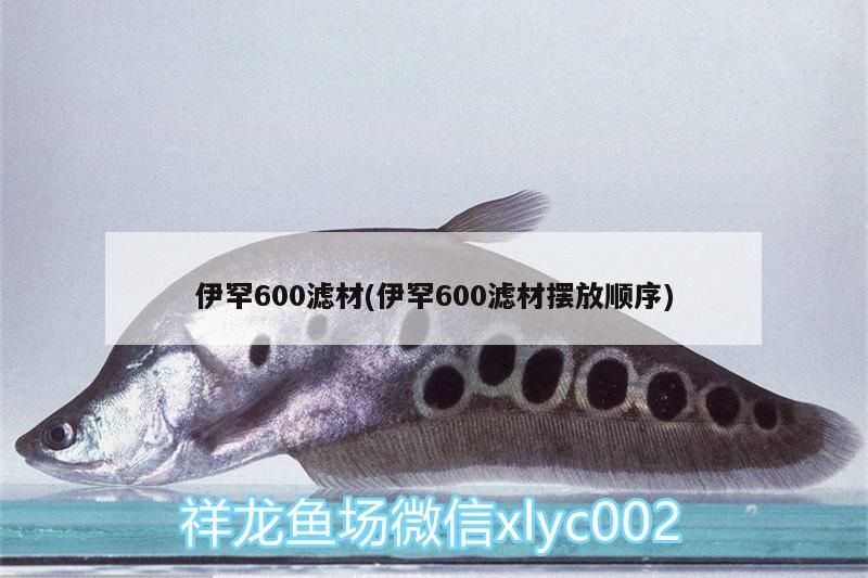 伊罕600濾材(伊罕600濾材擺放順序) 伊罕600濾材(伊罕600濾材擺放順序) 伊罕水族