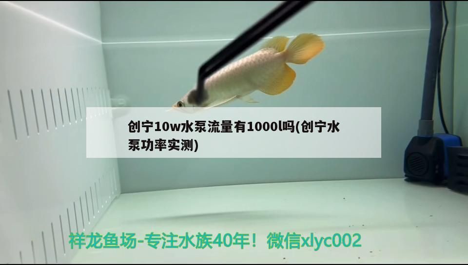 創(chuàng)寧10w水泵流量有1000l嗎(創(chuàng)寧水泵功率實(shí)測)