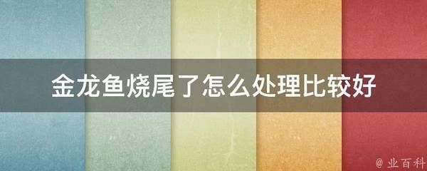 金龍魚(yú)燒尾怎么解決：如何解決金龍魚(yú)燒尾問(wèn)題