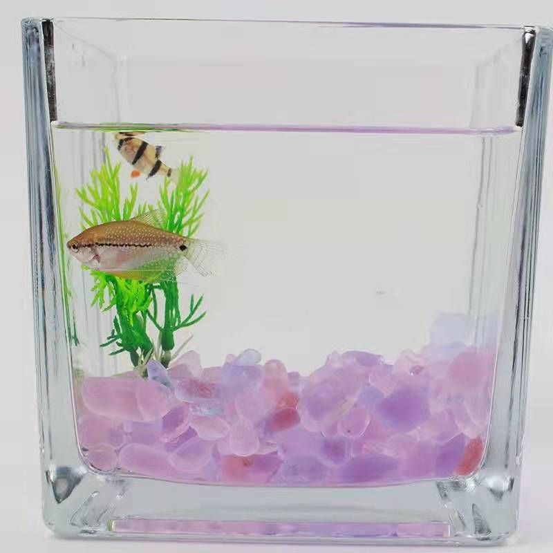 30x20x18魚缸放多少沙：魚缸底砂用量計算方法
