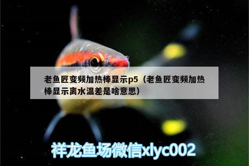 老魚匠變頻加熱棒顯示p5（老魚匠變頻加熱棒顯示離水溫差是啥意思）