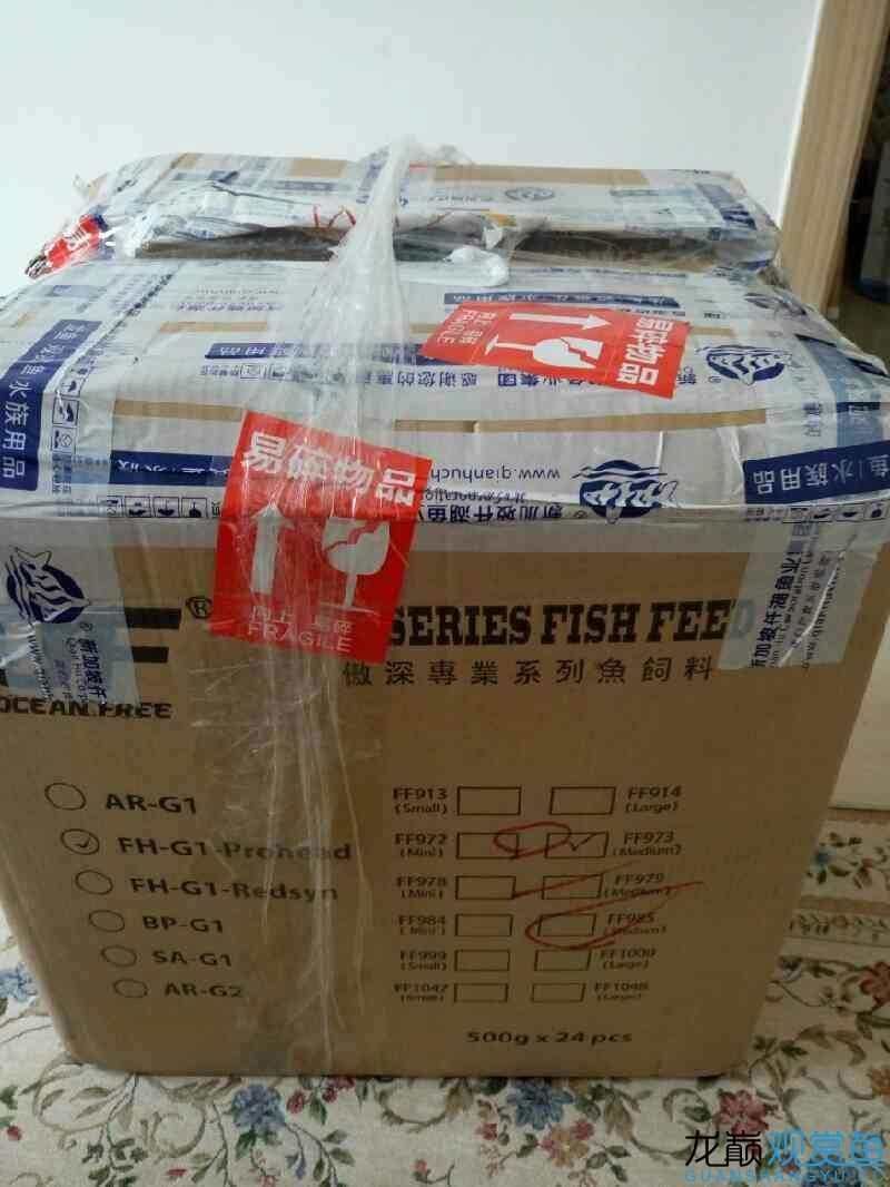 第六期搖一搖中的魚缸相當(dāng)給力仟湖家的 仟湖 第1張 第六期搖一搖中的魚缸相當(dāng)給力仟湖家的 第六期搖一搖中的魚缸相當(dāng)給力仟湖家的 仟湖 第1張