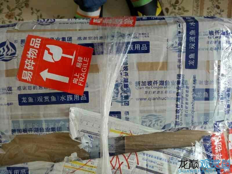 第六期搖一搖中的魚缸相當(dāng)給力仟湖家的 仟湖 第2張 第六期搖一搖中的魚缸相當(dāng)給力仟湖家的 第六期搖一搖中的魚缸相當(dāng)給力仟湖家的 仟湖 第2張