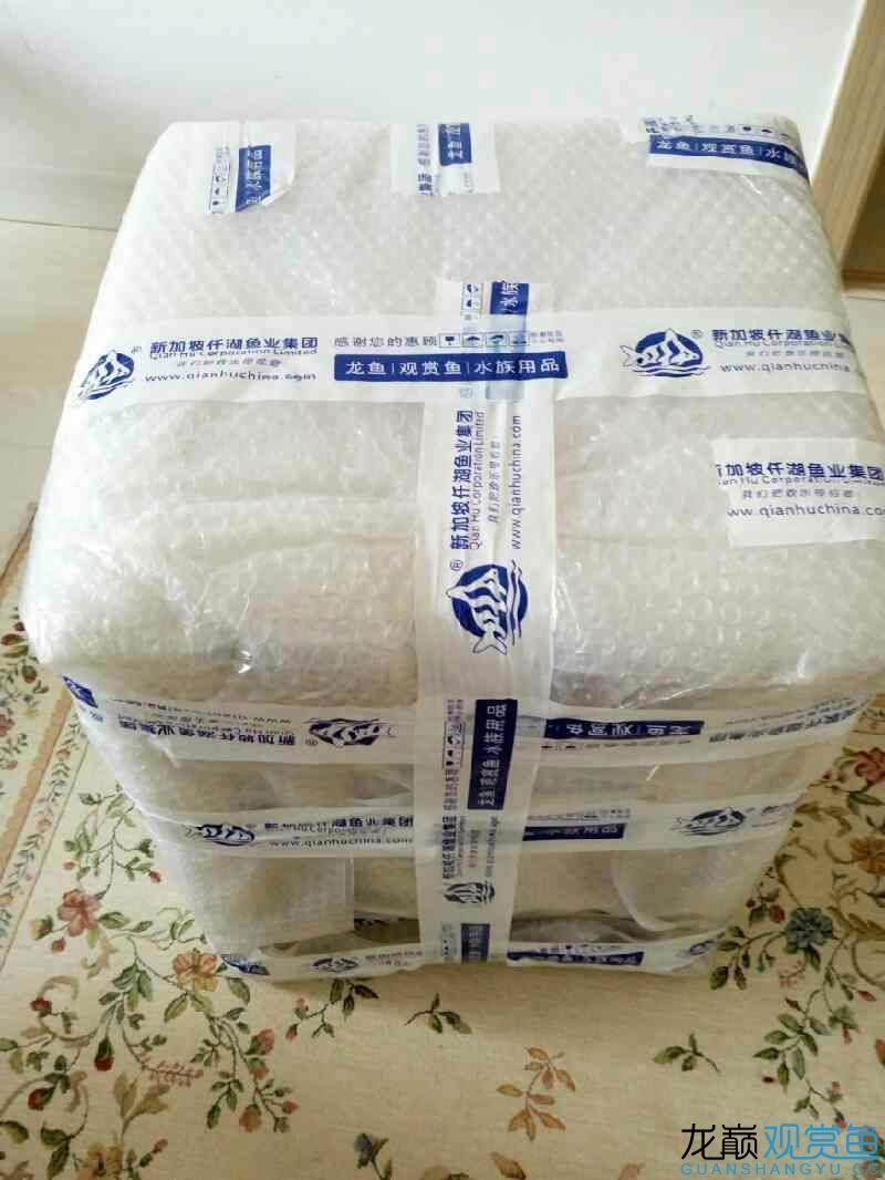 第六期搖一搖中的魚缸相當(dāng)給力仟湖家的 仟湖 第3張 第六期搖一搖中的魚缸相當(dāng)給力仟湖家的 第六期搖一搖中的魚缸相當(dāng)給力仟湖家的 仟湖 第3張