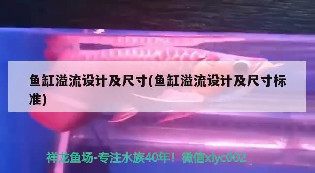 魚缸溢流設計及尺寸(魚缸溢流設計及尺寸標準)