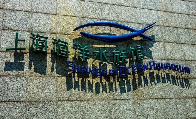 如何預訂水族館夜間門票（上海海洋水族館如何預訂水族館夜間門票預訂截止時間）