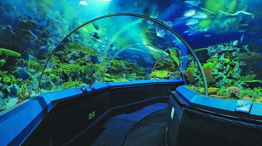 如何預訂水族館夜間門票（上海海洋水族館如何預訂水族館夜間門票預訂截止時間）