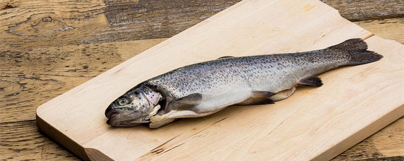 鱒魚多少錢一斤鱒魚有哪些品種