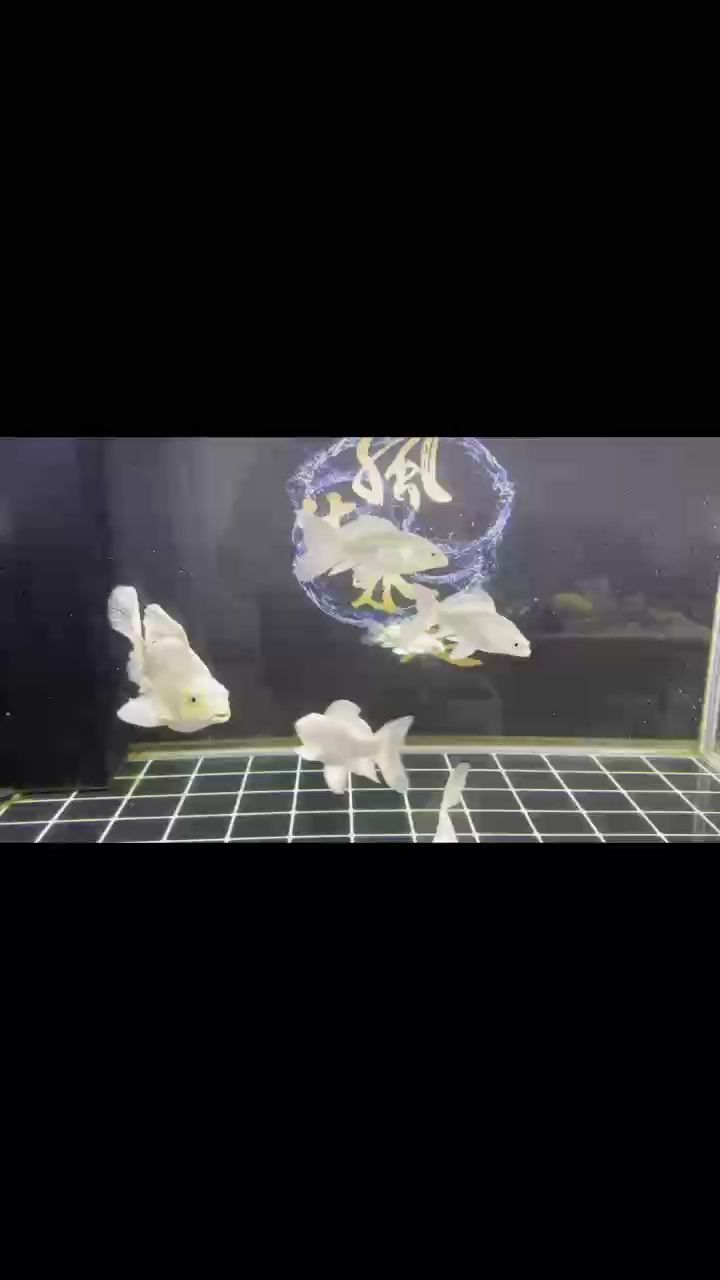 我回來了
