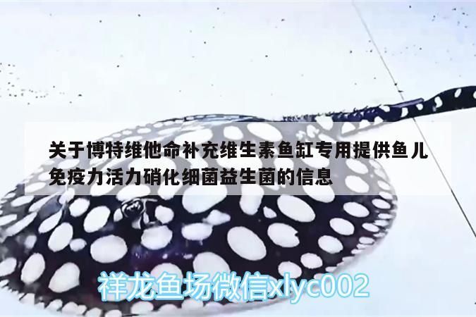 關(guān)于博特維他命補(bǔ)充維生素魚(yú)缸專用提供魚(yú)兒免疫力活力硝化細(xì)菌益生菌的信息