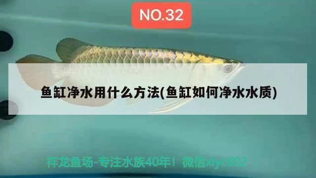 兩米長魚缸寬度是多少厘米（兩米長的魚缸有多重）