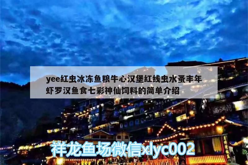 yee紅蟲冰凍魚糧牛心漢堡紅線蟲水蚤豐年蝦羅漢魚食七彩神仙飼料的簡單介紹