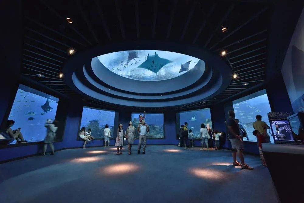 水族館發(fā)展現(xiàn)狀分析:水族館發(fā)展現(xiàn)狀分析與趨勢預(yù)測 水族館百科(水族館加盟) 第5張 水族館發(fā)展現(xiàn)狀分析:水族館發(fā)展現(xiàn)狀分析與趨勢預(yù)測 水族館發(fā)展現(xiàn)狀分析:水族館發(fā)展現(xiàn)狀分析與趨勢預(yù)測 水族館百科(水族館加盟) 第5張