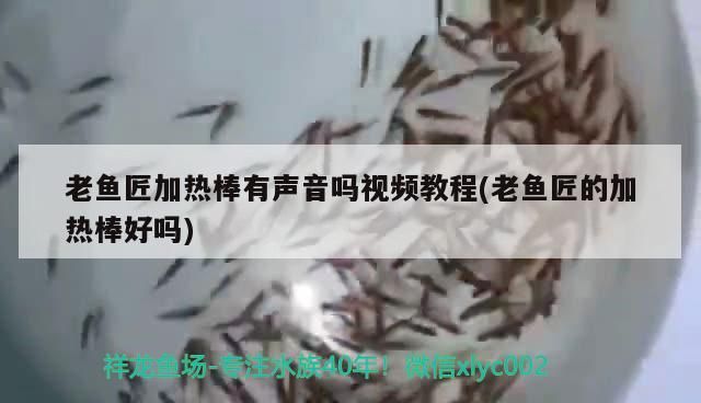 老魚匠加熱棒有聲音嗎視頻教程(老魚匠的加熱棒好嗎)