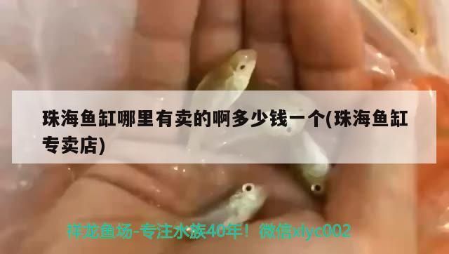 珠海魚(yú)缸哪里有賣(mài)的啊多少錢(qián)一個(gè)(珠海魚(yú)缸專(zhuān)賣(mài)店)