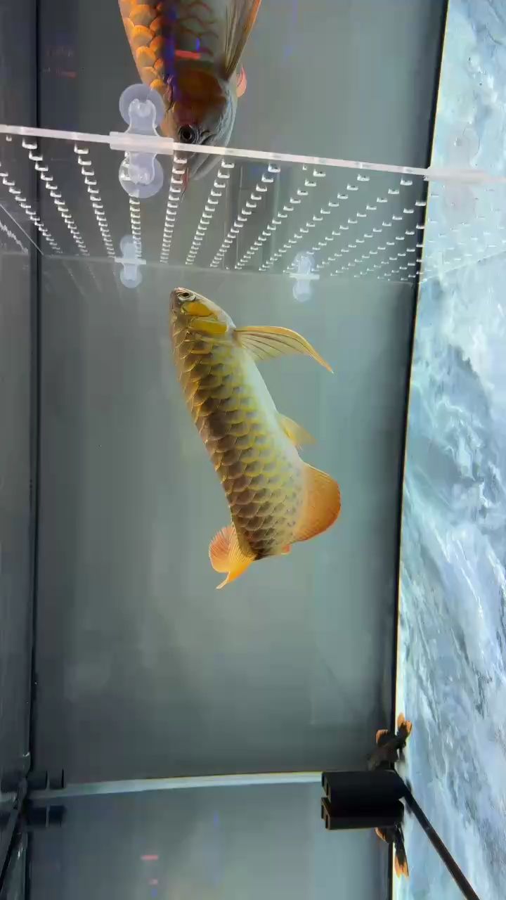 撿漏玩兒玩兒
