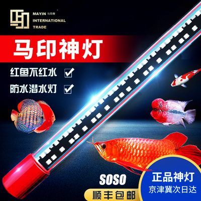 馬印發色燈13000k放什么位置：馬印13000k發色燈13000k放什么位置