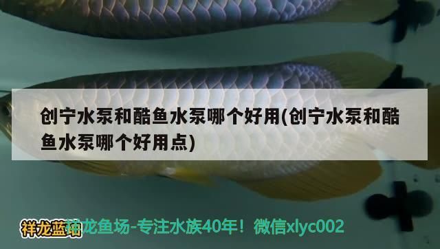 創寧水泵和酷魚水泵哪個好用(創寧水泵和酷魚水泵哪個好用點)