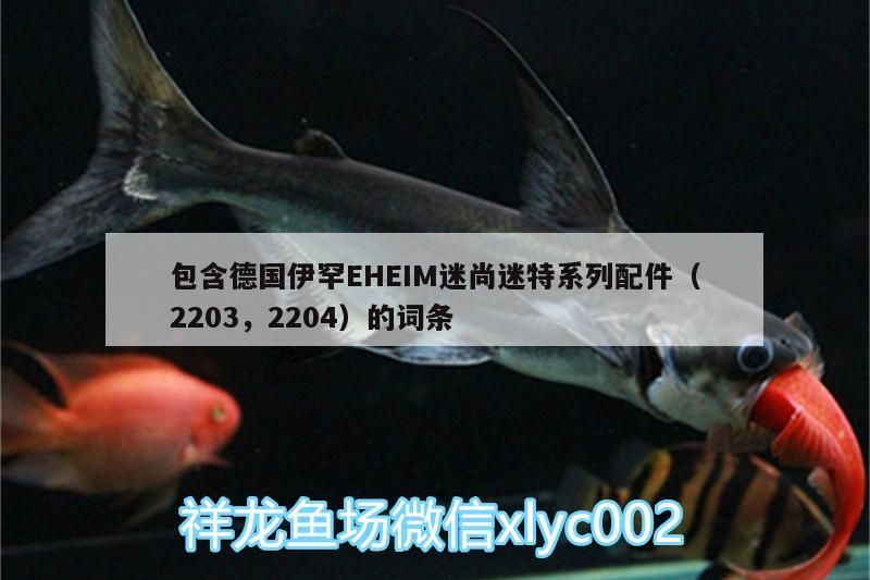 包含德國伊罕EHEIM迷尚迷特系列配件（2203，2204）的詞條