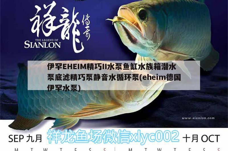 伊罕EHEIM精巧II水泵魚缸水族箱潛水泵底濾精巧泵靜音水循環泵(eheim德國伊罕水泵) 伊罕EHEIM精巧II水泵魚缸水族箱潛水泵底濾精巧泵靜音水循環泵(eheim德國伊罕水泵) 伊罕水族