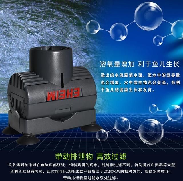 紅龍魚混養(yǎng)的最佳搭配比例是多少：紅龍魚混養(yǎng)的最佳搭配比例