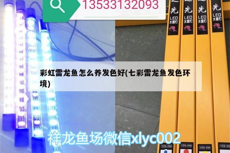 長沙魚缸定制廠家有哪些地址 長沙魚缸定制廠家有哪些地址呢