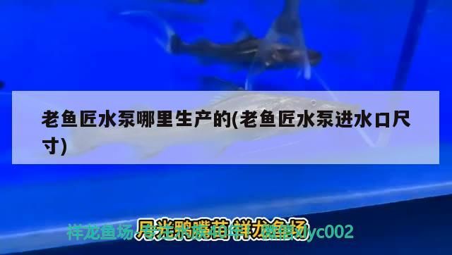 老魚匠水泵哪里生產的(老魚匠水泵進水口尺寸)