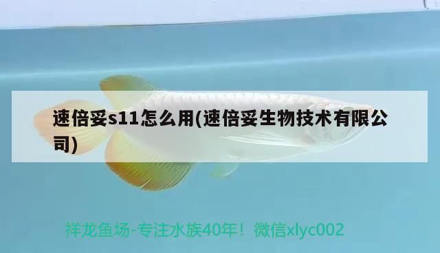 速倍妥s11怎么用(速倍妥生物技術有限公司)