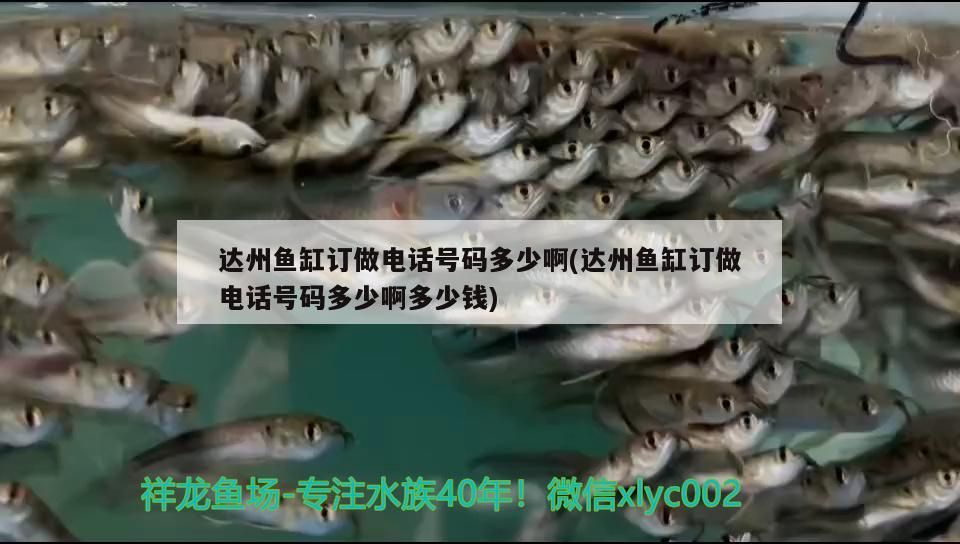 達州魚缸訂做電話號碼多少啊(達州魚缸訂做電話號碼多少啊多少錢) 達州魚缸訂做電話號碼多少啊(達州魚缸訂做電話號碼多少啊多少錢) 九鼎魚缸