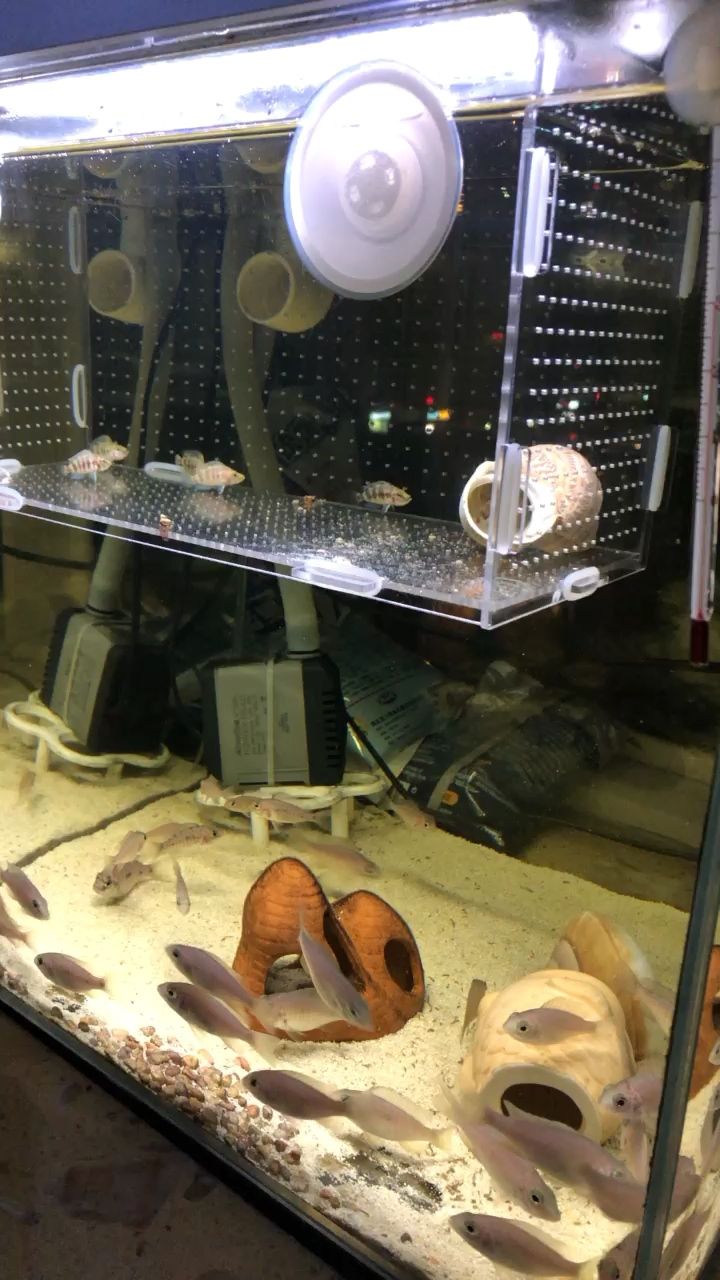 問問大家如果去了隔離盒有風險嗎
