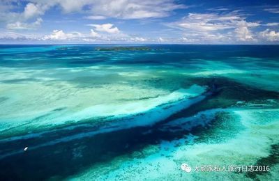 魟魚老在水面上游：魟魚老在水面上游可能有以下幾種情況