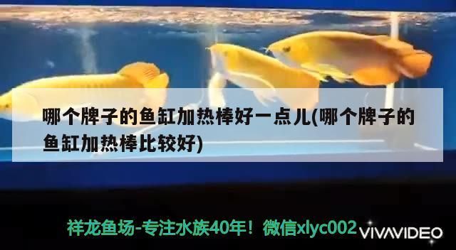 哪個牌子的魚缸加熱棒好一點兒(哪個牌子的魚缸加熱棒比較好)