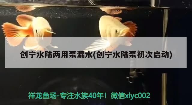 創寧水陸兩用泵漏水(創寧水陸泵初次啟動)