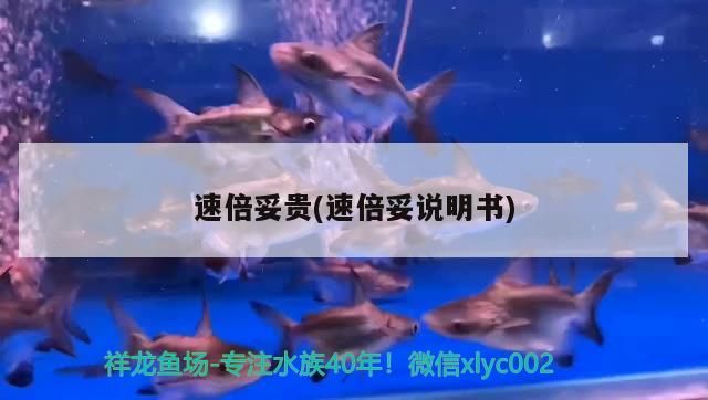 速倍妥貴(速倍妥說明書) 速倍妥貴(速倍妥說明書) 速倍妥
