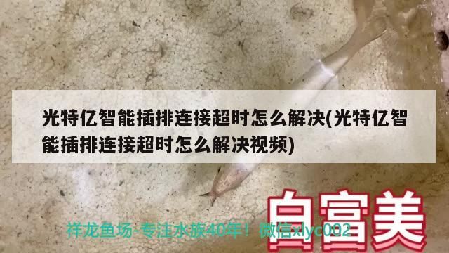 光特億智能插排連接超時怎么解決(光特億智能插排連接超時怎么解決視頻)