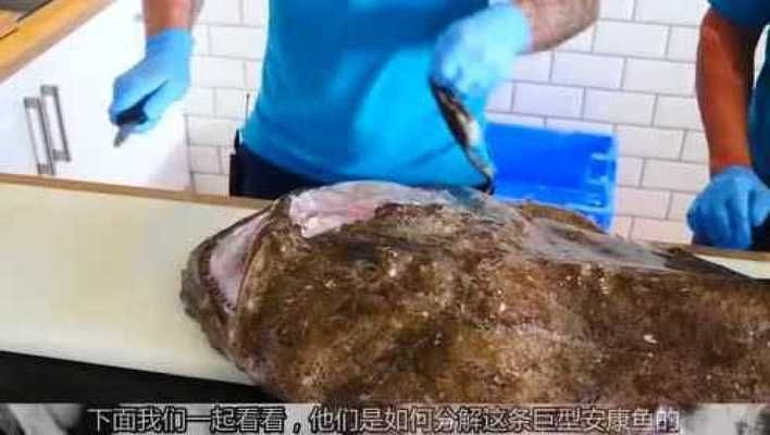魟魚(yú)食量大嗎能吃嗎有毒嗎視頻：魟魚(yú)的食量相對(duì)較大，關(guān)于魟魚(yú)是否有毒，答案是部分有毒
