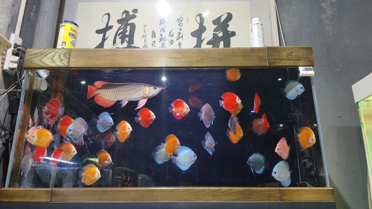 喜歡這樣的搭配