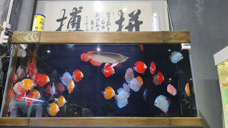 喜歡這樣的搭配