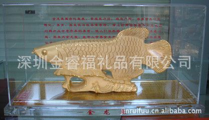 經濟發達地區金龍魚價格對比：經濟發達地區金龍魚價格對比呈現出明顯差異