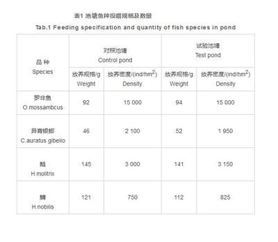 婁底可麗愛魚缸專賣店：婁底可麗愛魚缸專賣店，打造水族世界的藝術殿堂