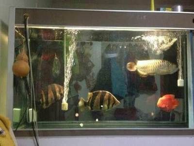 老魚匠氧氣泵能用多久(老魚匠氧氣泵售后維修怎么樣)