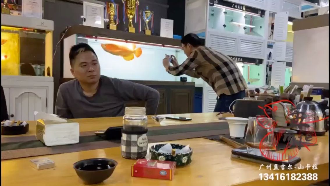孟吉爾～萬吉江蘇金總鑒賞