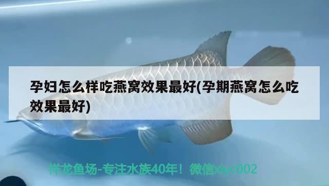 臨沂二手魚缸舊貨市場在哪里呀 臨沂哪里有賣二手魚缸的