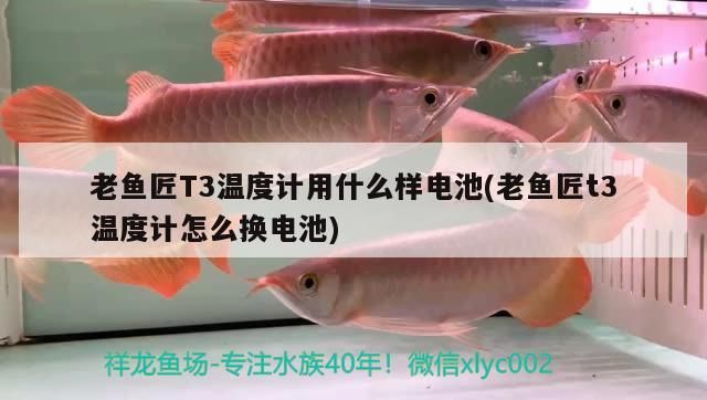 魚缸用增氧泵價格是多少:魚缸增氧機(jī)-xtrac增氧機(jī)-xtrac增氧機(jī) 老魚匠T3溫度計用什么樣電池(老魚匠t3溫度計怎么換電池) 老魚匠 老魚匠T3溫度計用什么樣電池(老魚匠t3溫度計怎么換電池) 老魚匠T3溫度計用什么樣電池(老魚匠t3溫度計怎么換電池) 老魚匠