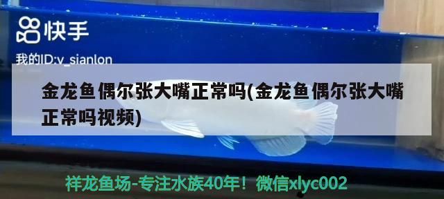 仟湖水族有限公司好不好:仟湖水泵怎么樣