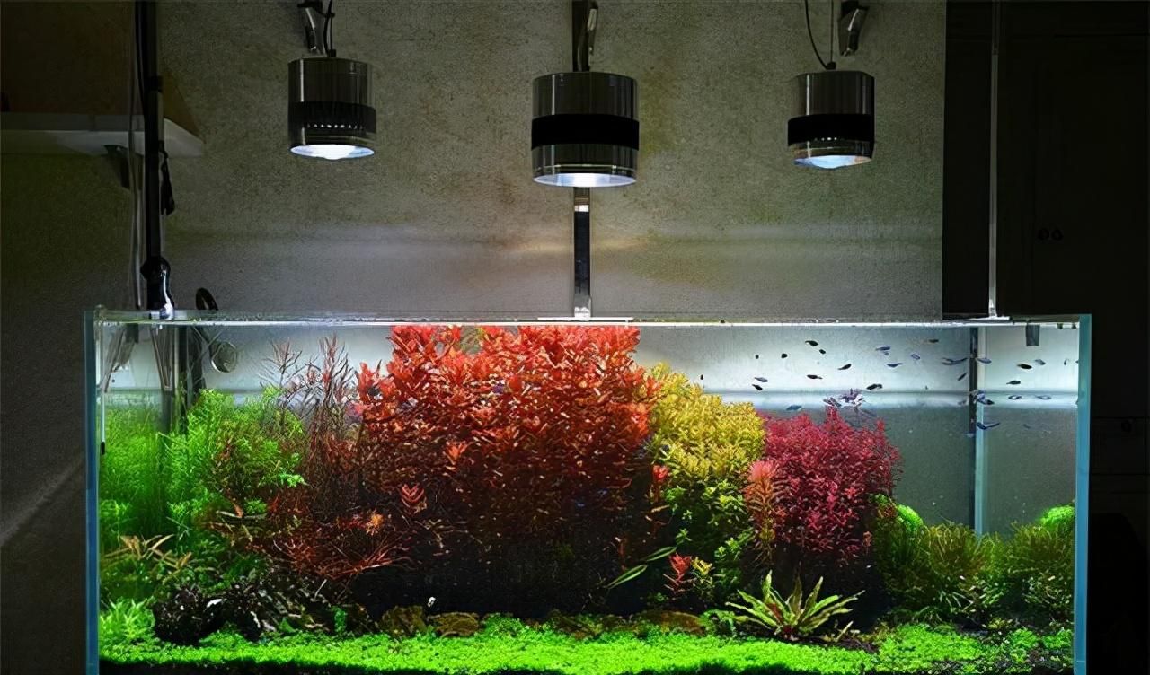 愛唯希魚缸是品牌嗎怎么樣知乎（愛唯希魚缸是品牌嗎怎么樣知乎）
