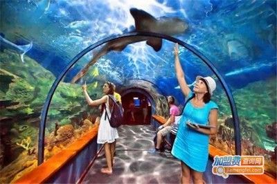 水族館加盟代理多少錢一個月啊（水族館加盟代理費用概覽）